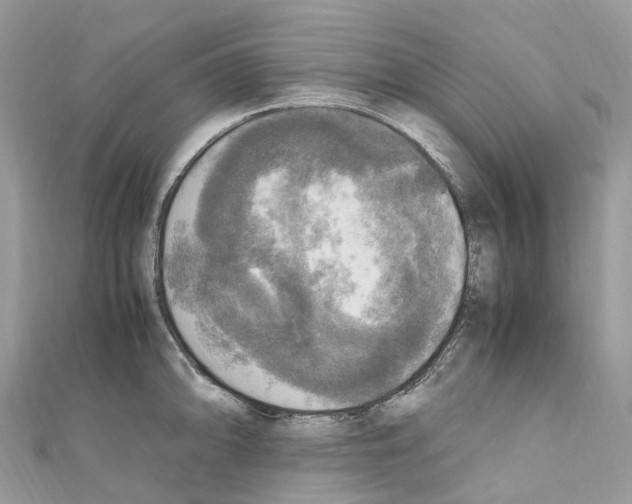 X0000110711094200907241140