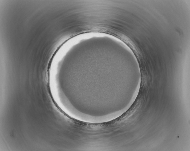X0000110711095200907241140