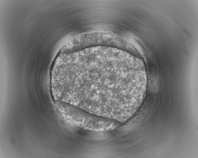 X0000110711096200907241140
