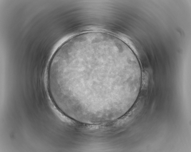 X0000110711098200907241140