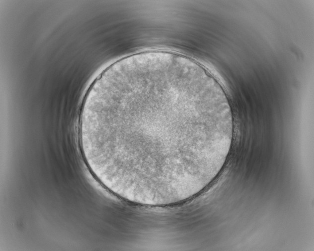 X0000110711100200907241140