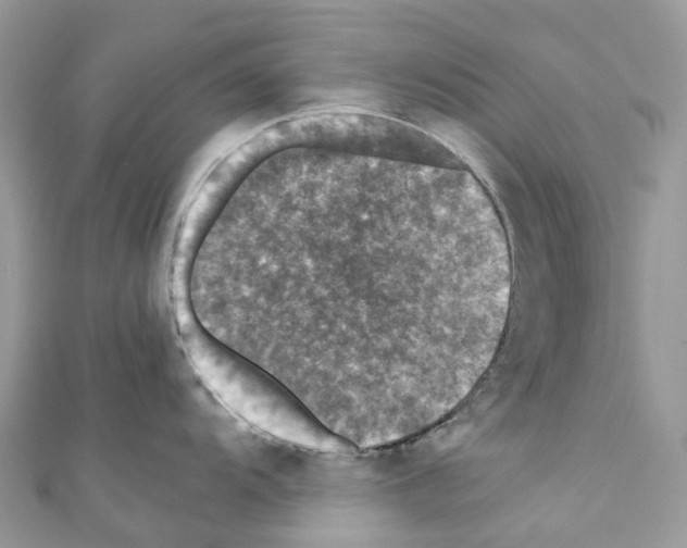 X0000110711104200907241140