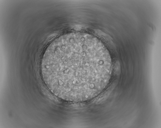 X0000110711105200907241140