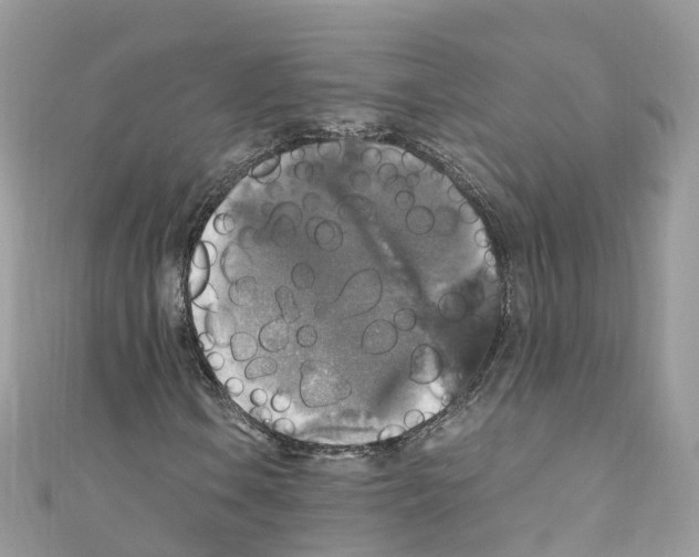 X0000110711106200907241140