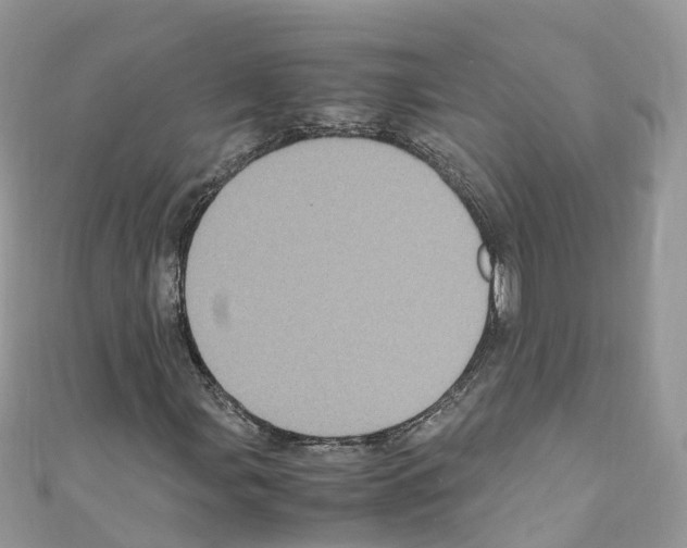 X0000110711107200907241140