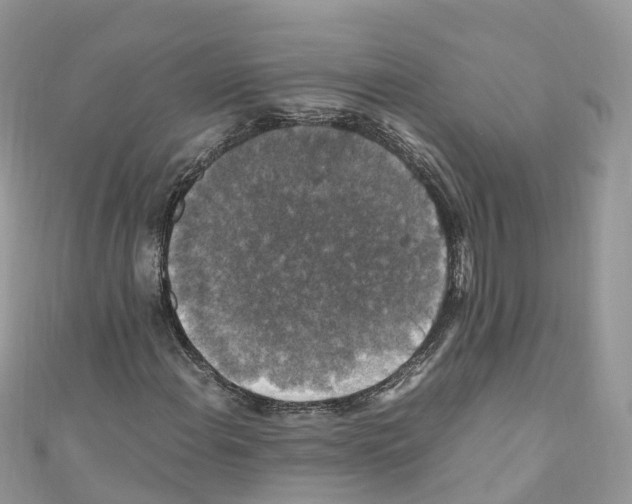 X0000110711108200907241140