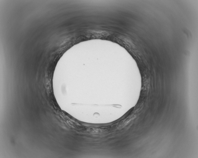 X0000110711109200907241140