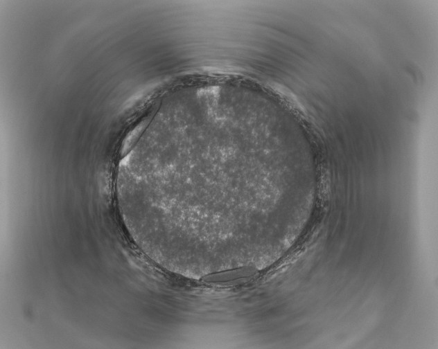 X0000110711110200907241140
