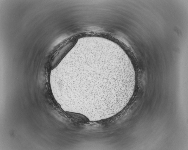 X0000110711112200907241140