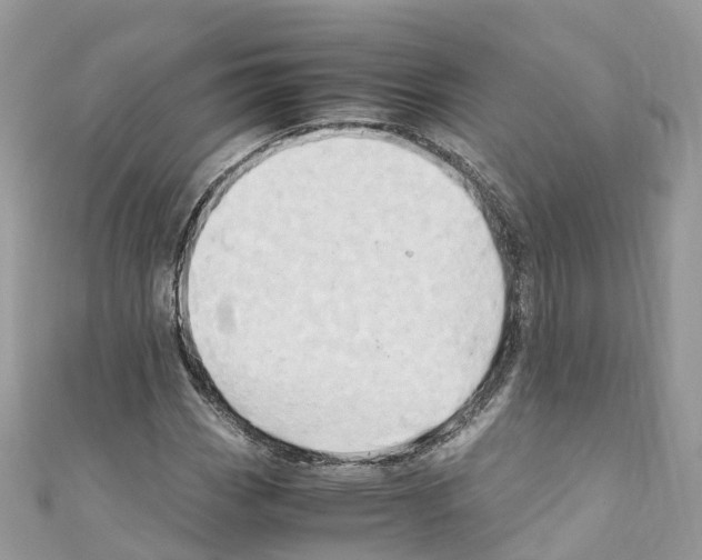 X0000110711113200907241140