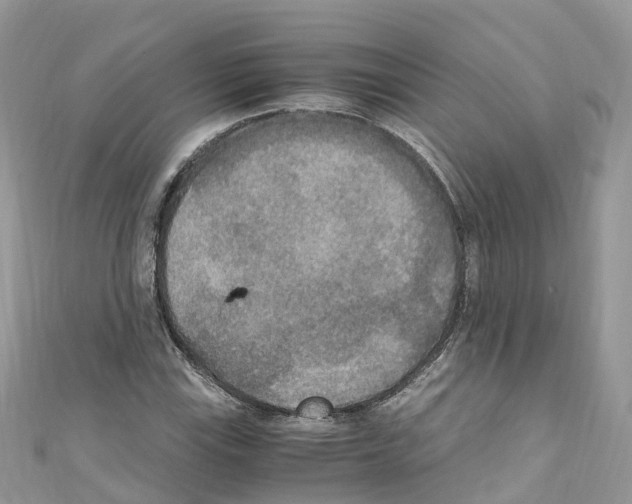 X0000110711115200907241140