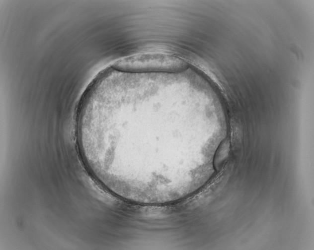 X0000110711116200907241140