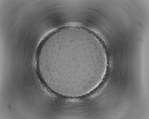 X0000110711117200907241140