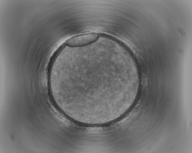 X0000110711118200907241140