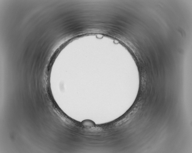 X0000110711119200907241140