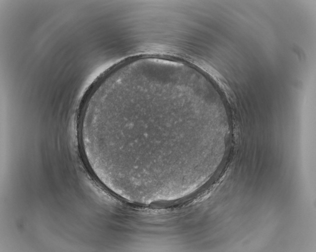 X0000110711120200907241140