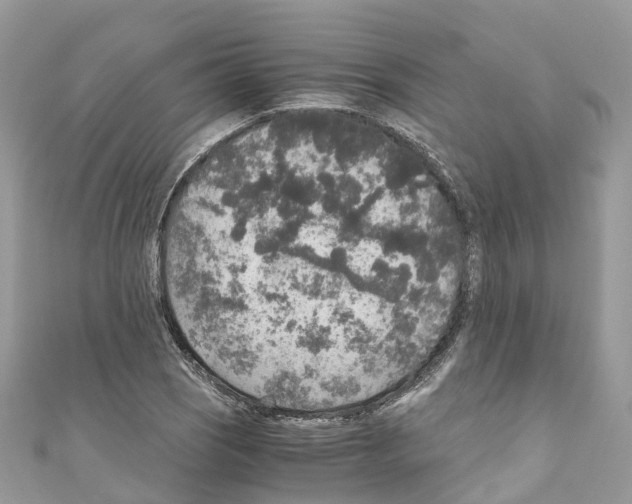 X0000110711121200907241140