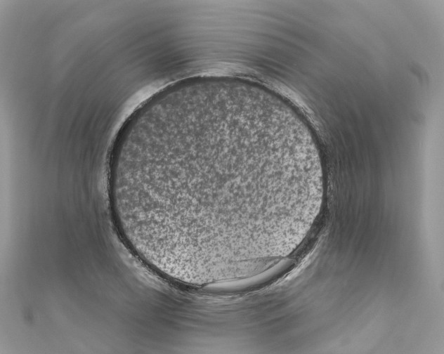 X0000110711122200907241140