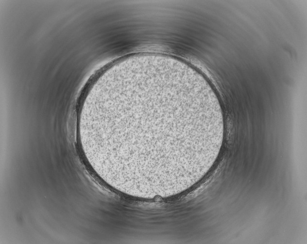X0000110711123200907241140