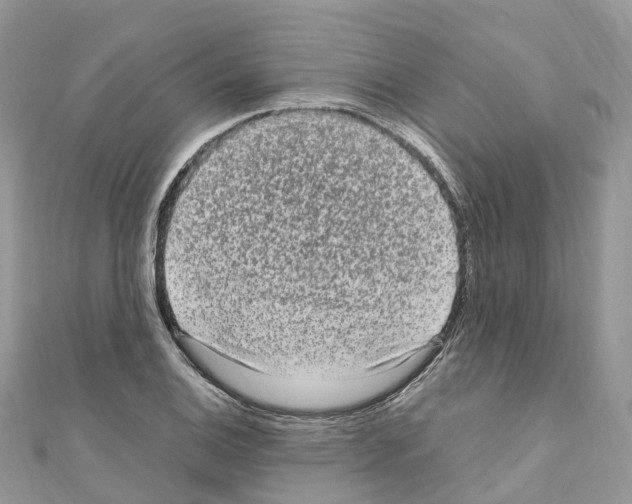 X0000110711124200907241140