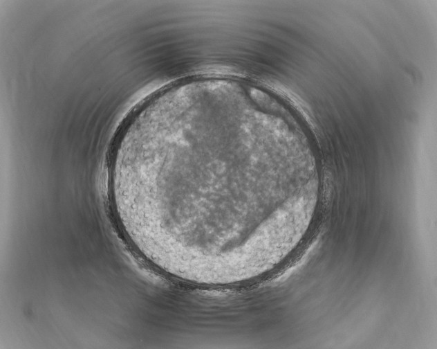 X0000110711125200907241140