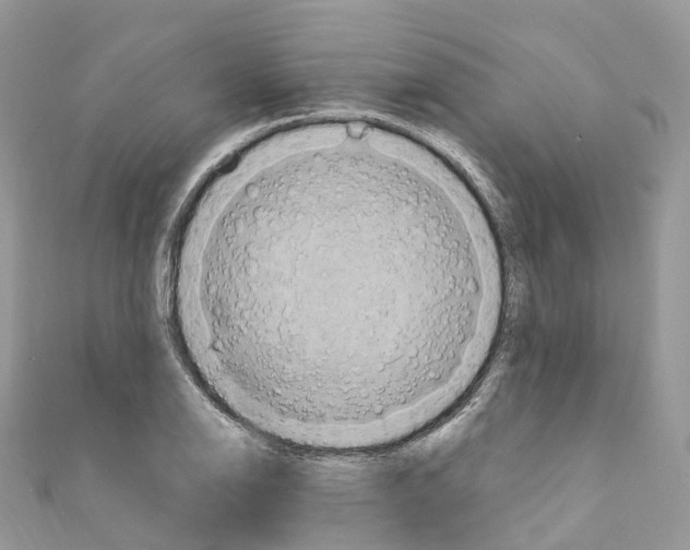 X0000110711126200907241140