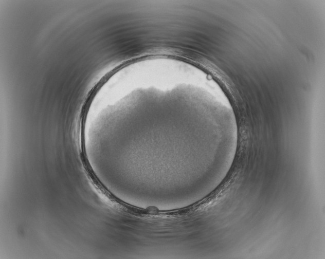X0000110711127200907241140