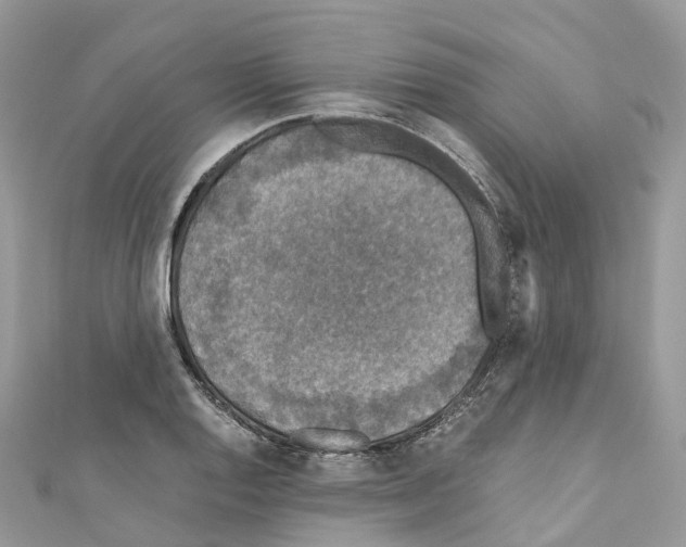 X0000110711128200907241140