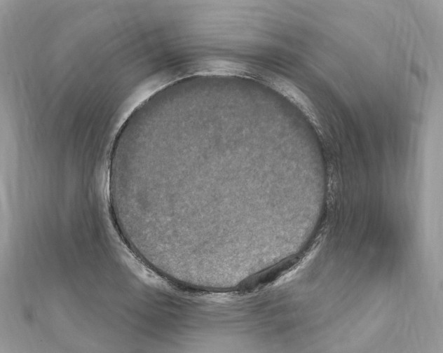 X0000110711130200907241140