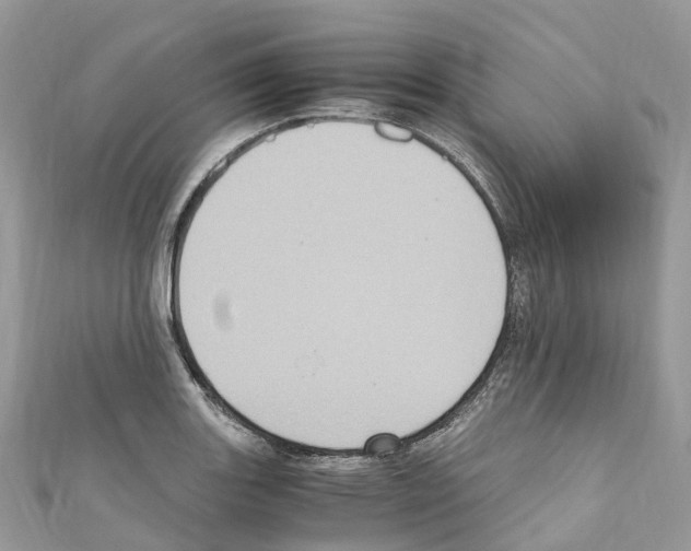 X0000110711131200907241140