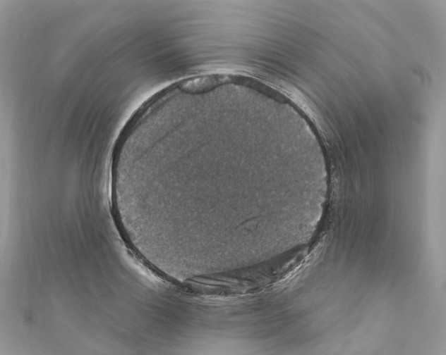X0000110711132200907241140