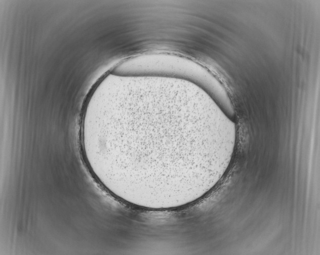 X0000110711134200907241140