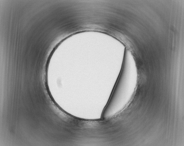 X0000110711136200907241140