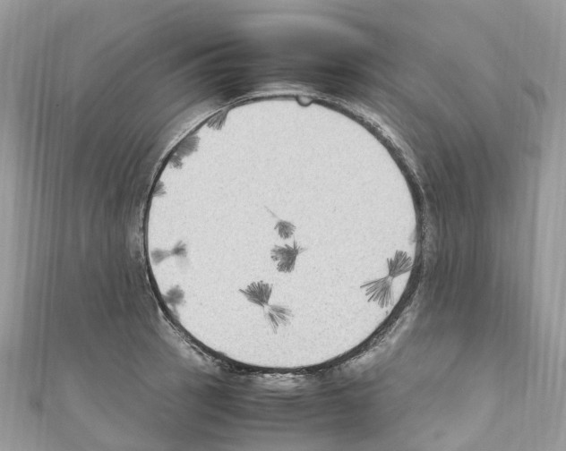 X0000110711137200907241140