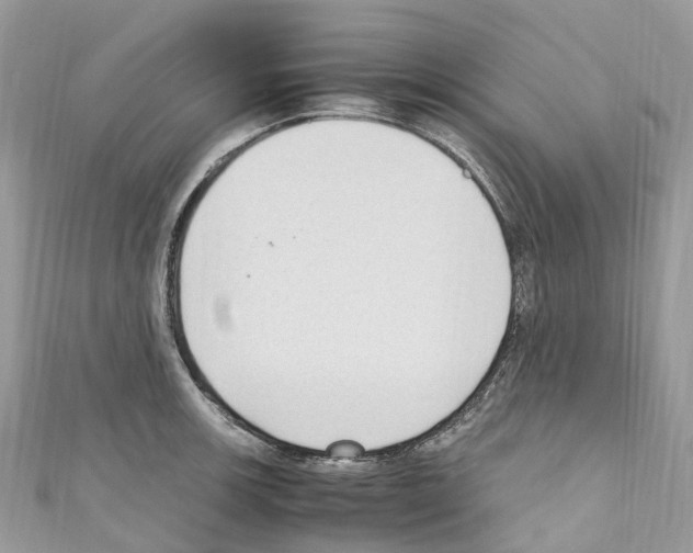 X0000110711139200907241140