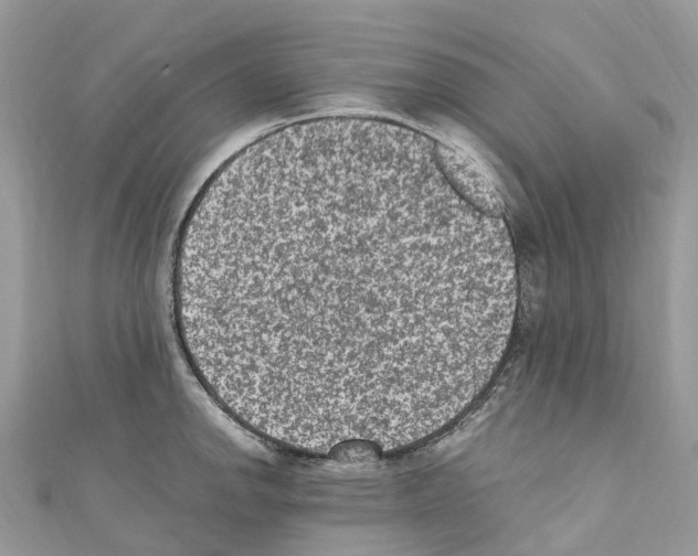 X0000110711142200907241140