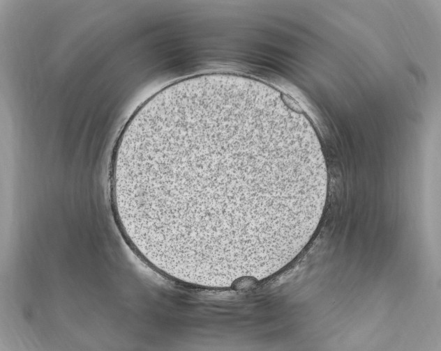 X0000110711143200907241140