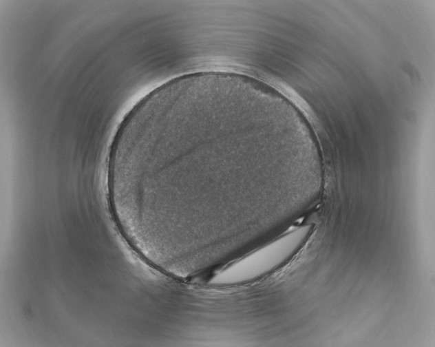 X0000110711144200907241140