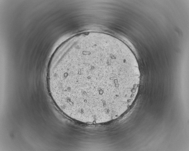 X0000110711146200907241140
