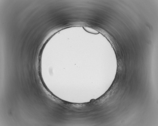 X0000110711147200907241140