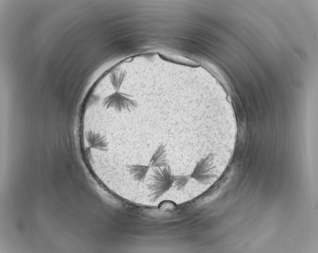 X0000110711149200907241140