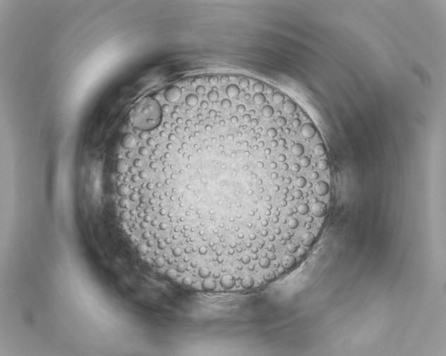 X0000110711150200907241140