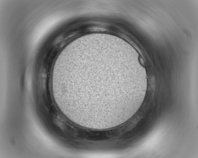 X0000110711151200907241140