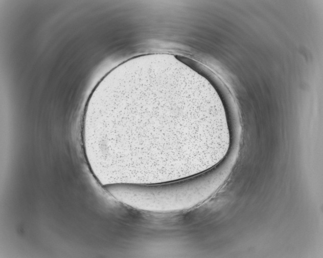 X0000110711152200907241140