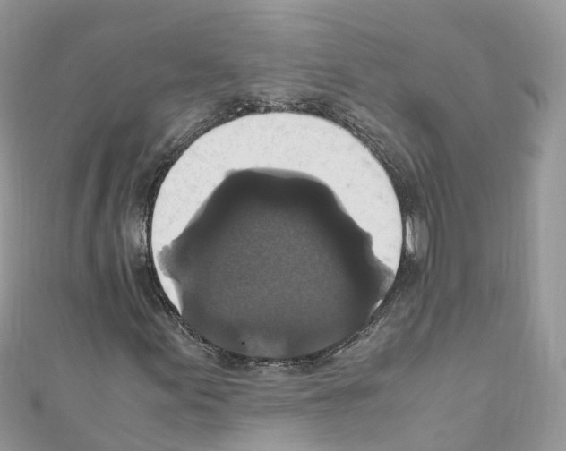 X0000110711155200907241140
