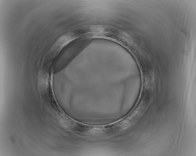 X0000110711161200907241139