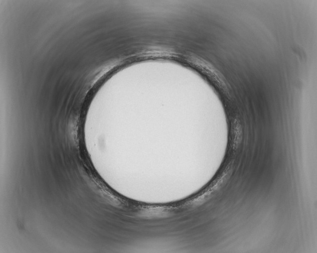 X0000110711162200907241139