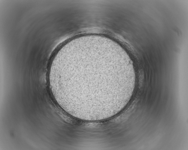 X0000110711166200907241139