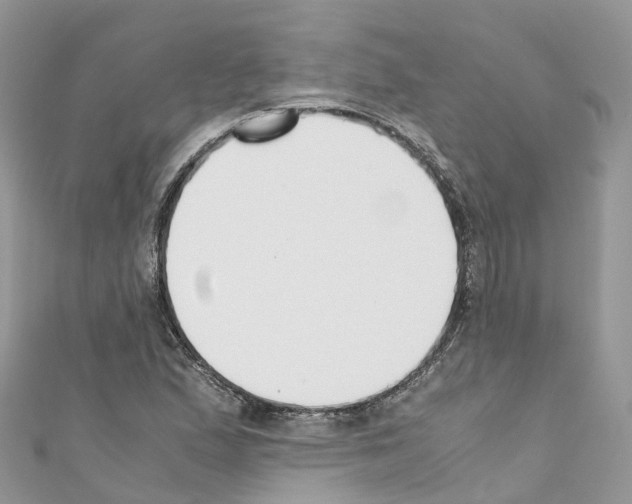 X0000110711167200907241139