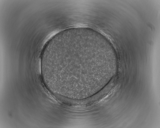 X0000110711171200907241139